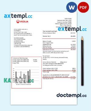 sample Czechia Veolia Energy Czech Republic energy utility bill template in Word and PDF format download