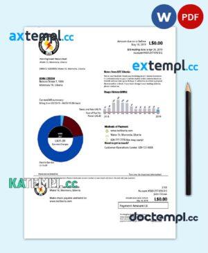 sample Liberia Electricity Corporation utility bill template in Word and PDF format download