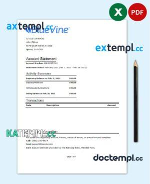 sample USA California BlueVine bank statement easy to fill template in .xls and .pdf file format download