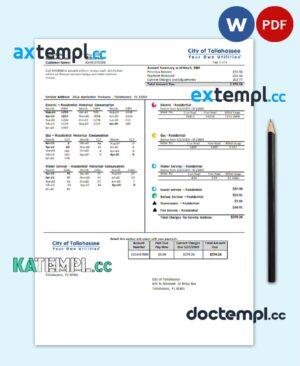 sample USA Florida City of Tallahassee Florida Your Own Utilities bill template in Word and PDF format download