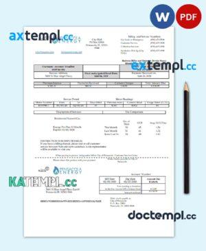 sample USA Florida Pensacola Energy utility bill template in Word and PDF format download