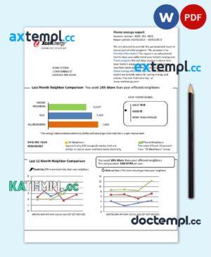 sample USA Minnesota Xcel Energy utility bill template in Word and PDF format (.doc and .pdf) download