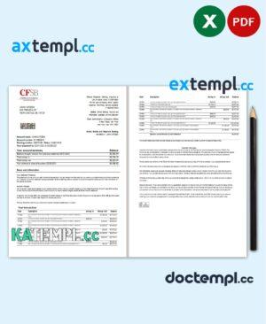sample USA New York CFSB bank statement template in Excel and PDF format, 2 pages download