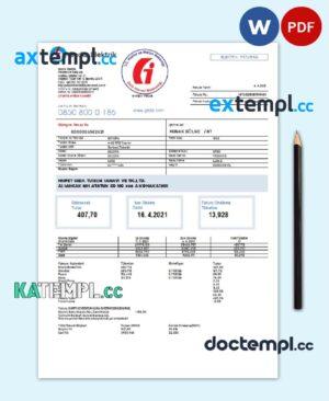 sample Turkey Gediz Elektrik utility bill template in Word and PDF format, fully editable download