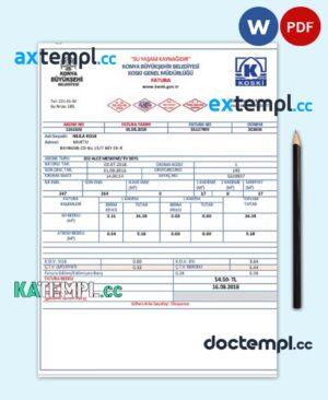 sample Turkey water utility bill template in Word and PDF format download