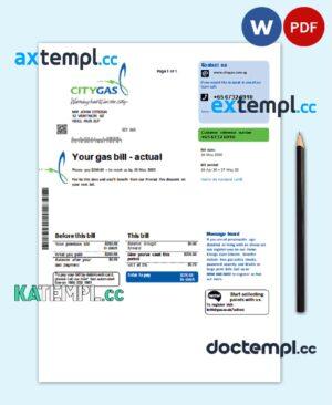 sample Singapore City Gas utility bill template in Word and PDF format download