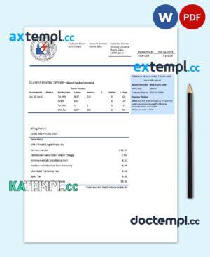 sample Egypt Egyptian Electricity utility bill template in Word and PDF format download