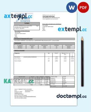 sample France Energies & Services Régie Municipal d' Electricité Sarre-Union electricity utility bill template in Word and PDF format, fully editable download