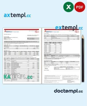 sample India ICICI Bank statement template in Excel and PDF format (2 pages) download