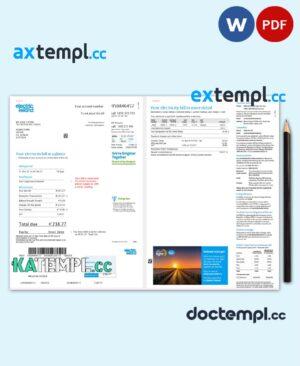 sample Ireland Electric Ireland utility bill template in Word and PDF format, 2 pages download