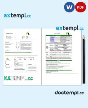 sample Malaysia Packet 1 Network bank statement template in Word and PDF format (3 pages) download