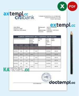 sample Netherlands Citibank bank statement template in .xls and .pdf file format download