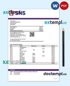 sample Netherlands SNS bank statement template in Word and PDF format download