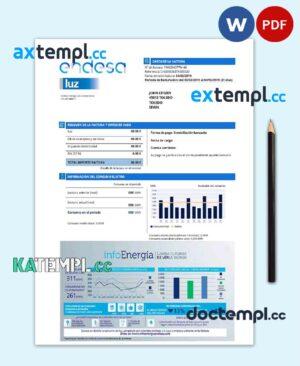 sample Spain Endesa luz utility bill template in Word and PDF format download