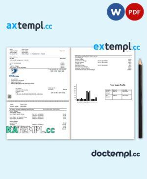 sample USA DTE Energy utility bill template in Word and PDF format (2 pages) download