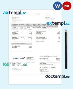 sample USA Florida Public Utilities utility bill template in Word and PDF format download