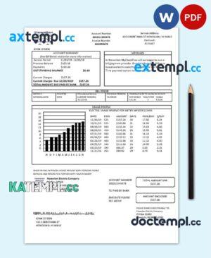 sample USA Hawaiian Electric utility bill template in Word and PDF format (.doc and .pdf) download
