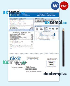sample USA Illinois Nicor gas utility bill template in Word and PDF format download