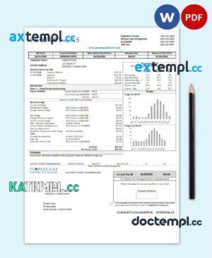 sample USA Illinois Peoples Gas utility bill template in Word and PDF format download