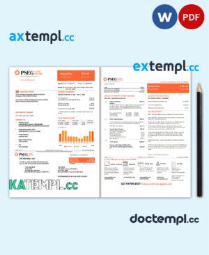 sample USA Long Island PSEG electricity utility bill template in Word and PDF format, 2 pages download