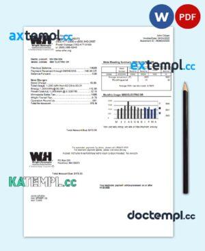sample USA Minnesota Wright-Hennepin utility bill template in Word and PDF format download