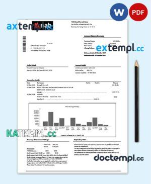 sample USA NAB bank statement template in Word and PDF format download