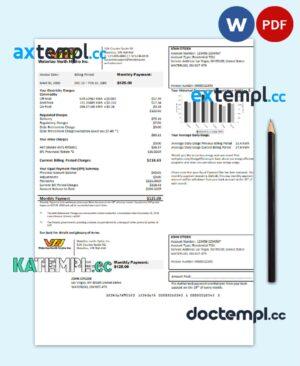 sample USA Nevada Waterloo North Hydro utility bill template in Word and PDF format download