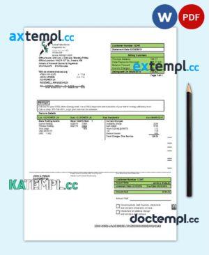 sample USA New Mexico electricity proof of address utility bill template in Word and PDF format download
