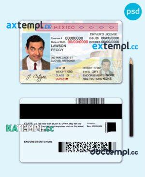 sample USA State New Mexico driving license template in PSD format download