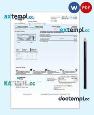 sample USA Texas Center Point Energy utility bill template in Word and PDF format download
