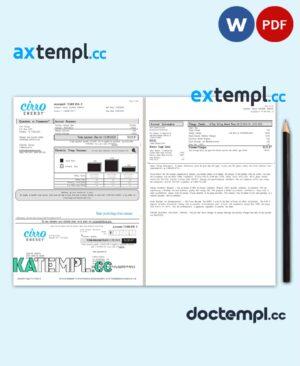 sample USA Texas Cirro Energy utility bill template in Word and PDF format (3 pages) download