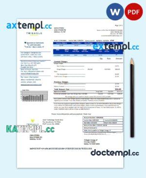 sample USA Texas TriEagle utility bill template in Word and PDF (.doc and .pdf) format download