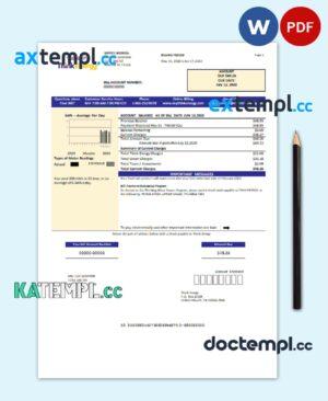 sample USA Think Energy utility bill template in Word and PDF format download