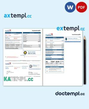 sample USA Capital One bank statement template in Word and PDF format (2 pages) version 3 download