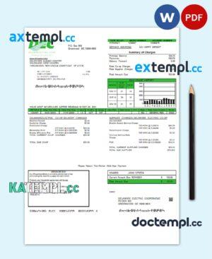sample USA Delaware Electric Co-op utility bill template in Word and PDF format download