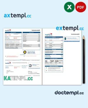 sample USA Capital One bank statement template in Excel and PDF format (2 pages) version 3 download