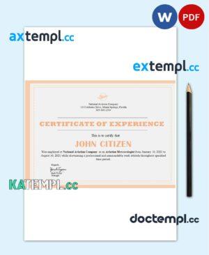 sample USA Company Experience Certificate template in Word and PDF format download