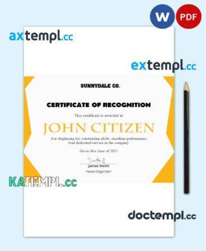 sample USA Recognition in Performance certificate template in Word and PDF format download