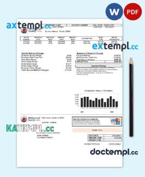 sample USA Hillsborough County utility bill template in Word and PDF format download