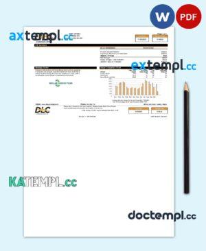 sample USA Pennsylvania Duquesne Light Company (DLC) utility bill template in Word and PDF format download