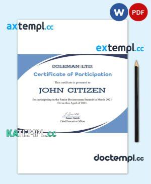 sample USA Program Participation certificate template in Word and PDF format download