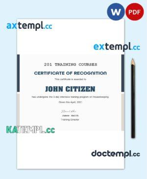 sample USA Training Course certificate template in Word and PDF format download