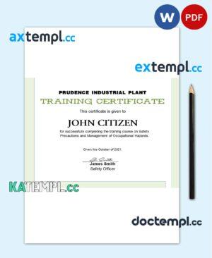 sample USA Training certificate template in Word and PDF format, version 2 download