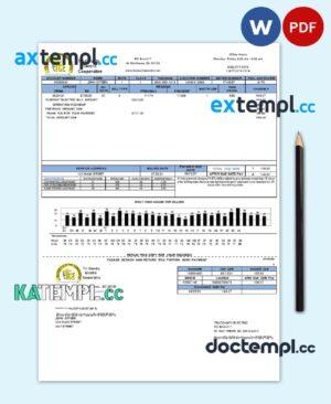 sample USA Tri-County Electric Cooperative utility bill template in Word and PDF format download