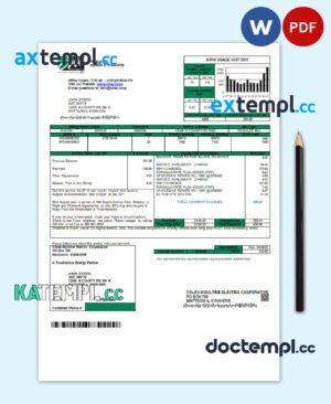 sample USA Coles - Moultrie utility bill template in Word and PDF format download