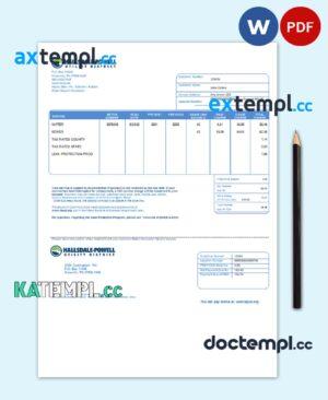 sample USA Hallsdale-Powell utility bill template in Word and PDF format download