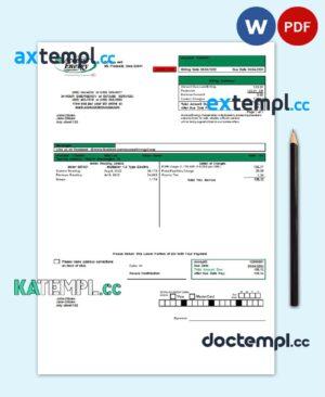 sample USA Iowa Access Energy Cooperative utility bill template in Word and PDF format download