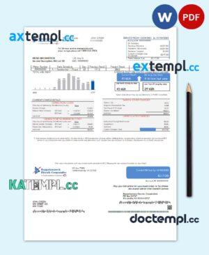 sample USA Rappahannock Electric Cooperative utility bill template in Word and PDF format download