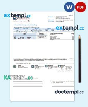 sample USA Texas Medina Electric utility bill template in Word and PDF format download