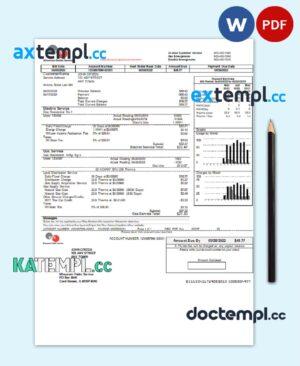sample USA WPS utility bill template in Word and PDF format download